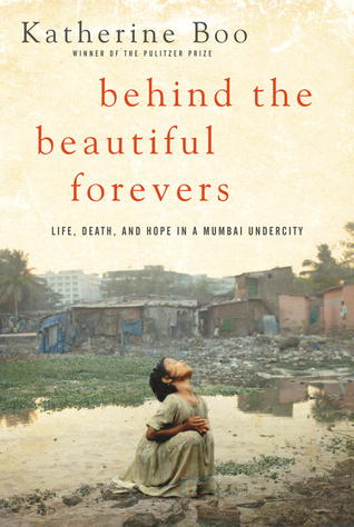 Behind the Beautiful Forevers book