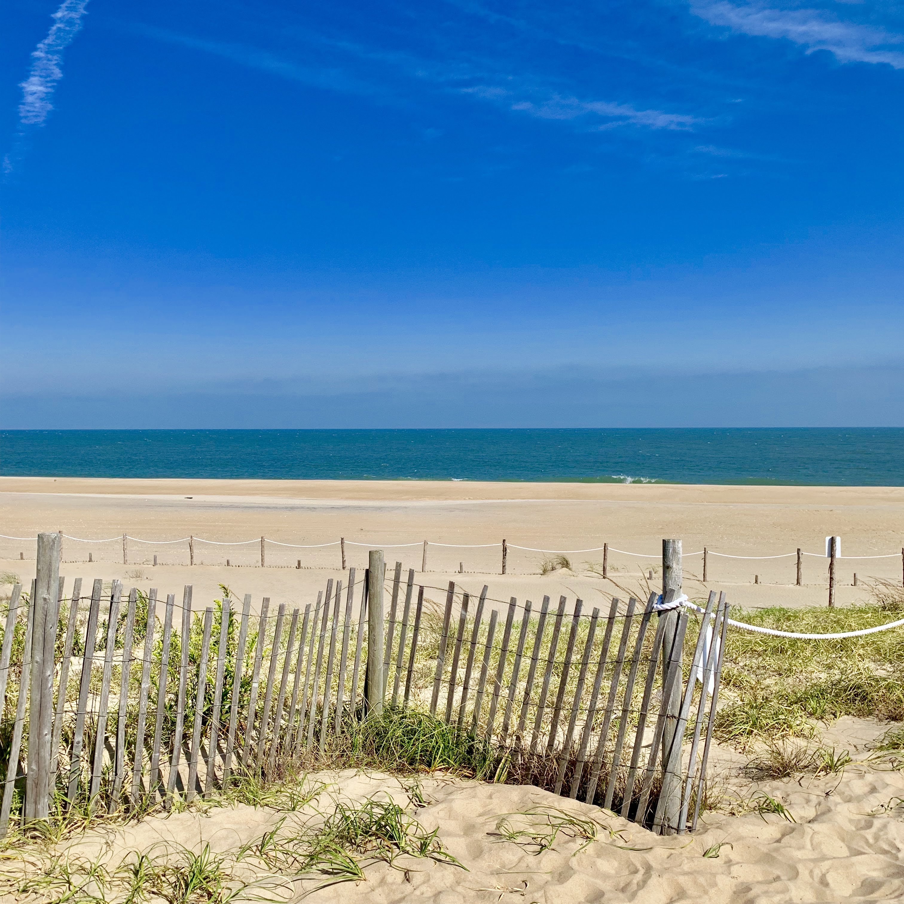 Picture of Beach and Fence