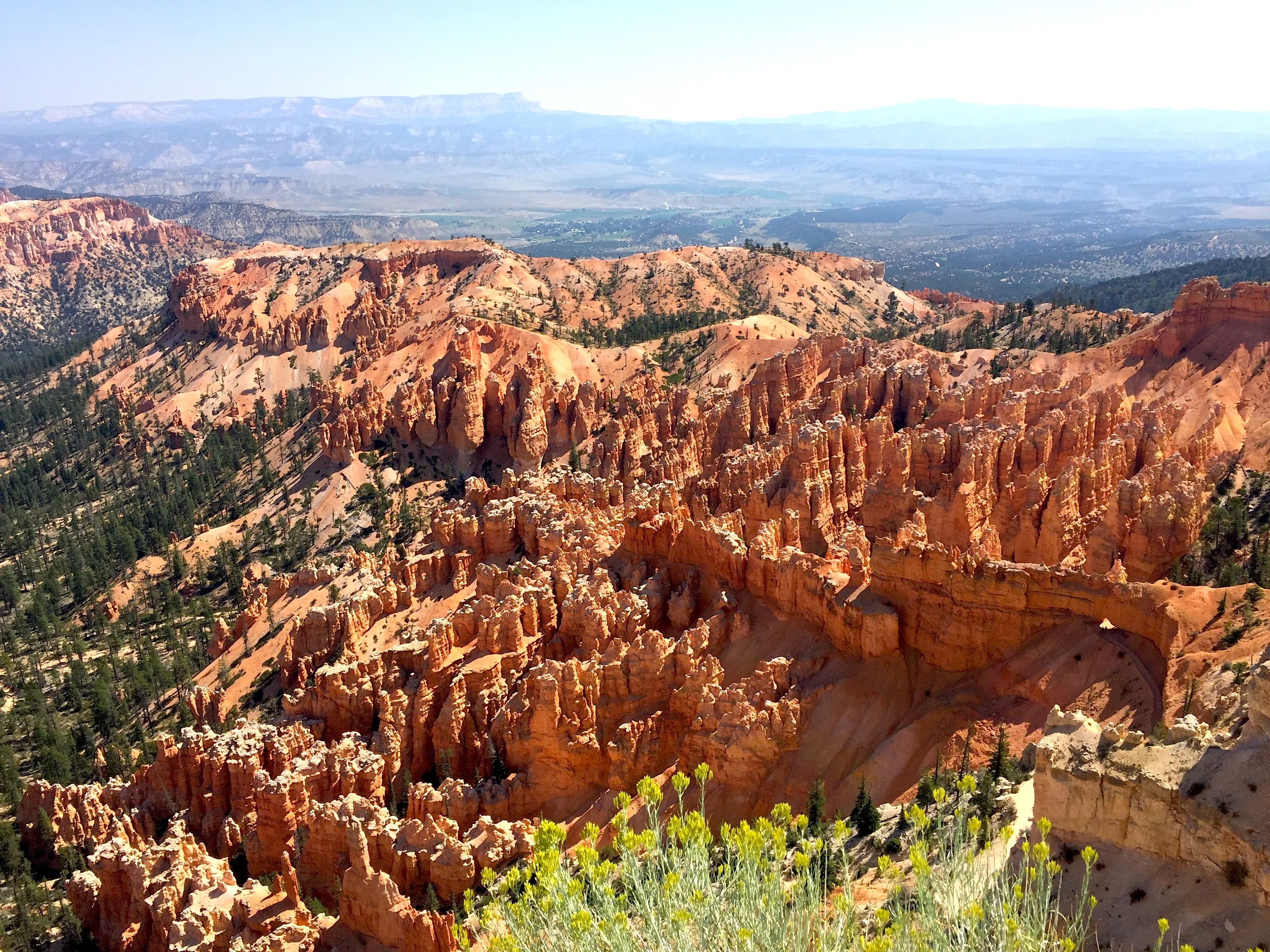 Picture of Bryce Canyon