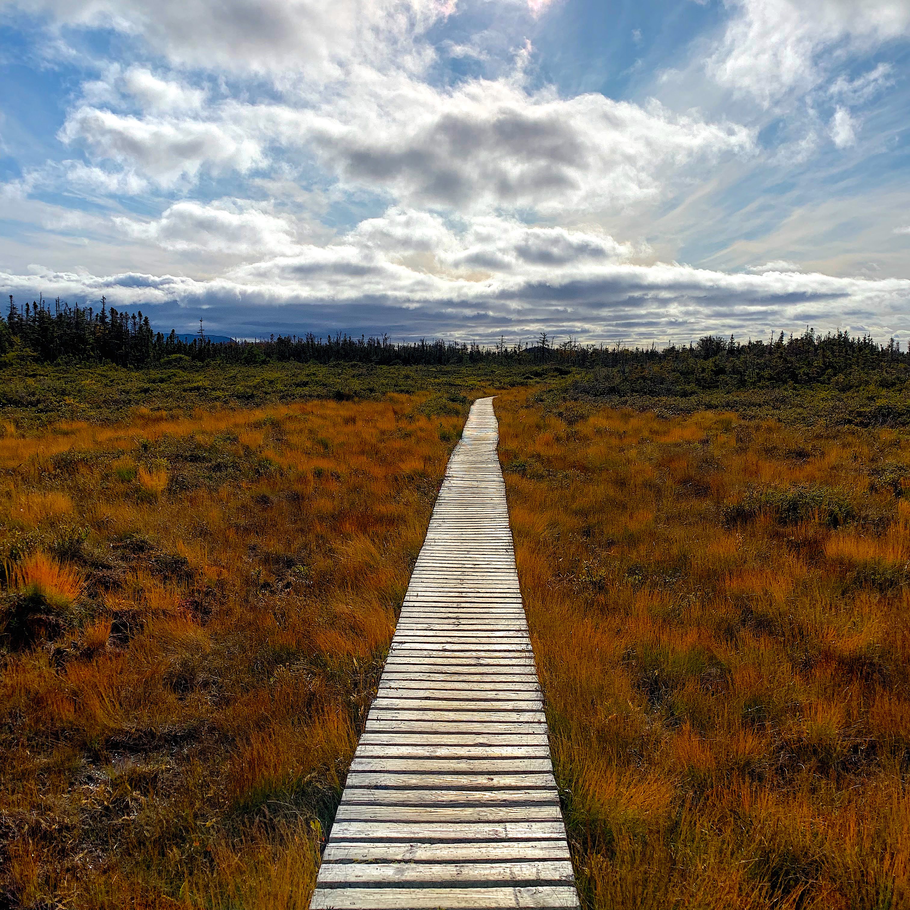 Picture of boardwalk leading to the sea